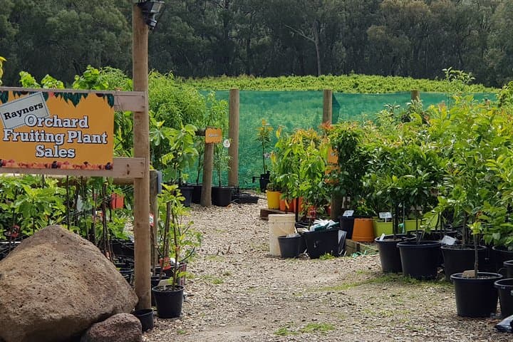 Yarra Valley Wineries and Rayners Orchard Day Tour from Melbourne