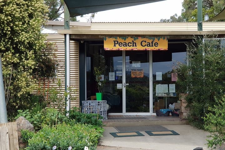 Yarra Valley Wineries and Rayners Orchard Day Tour from Melbourne photo 3
