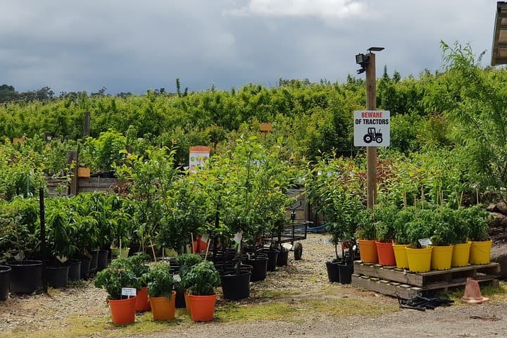 Yarra Valley Wineries and Rayners Orchard Day Tour from Melbourne photo 5