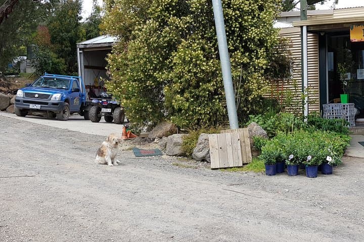 Yarra Valley Wineries and Rayners Orchard Day Tour from Melbourne photo 6
