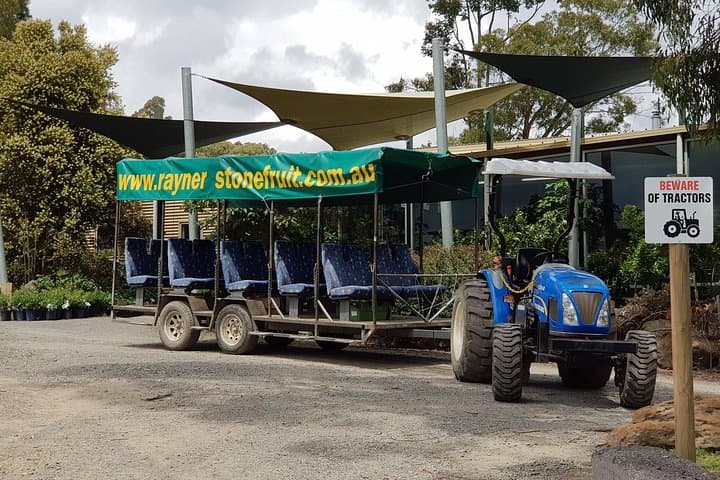 Healesville Sanctuary and Rayners Orchard Day Tour from Melbourne photo 3