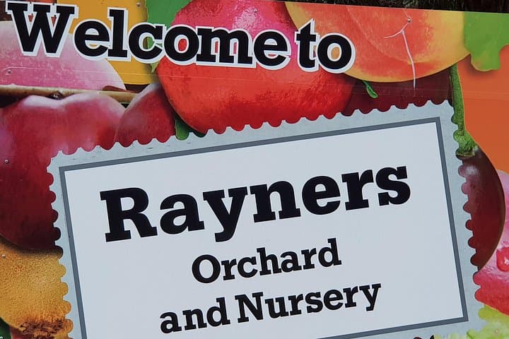 Healesville Sanctuary and Rayners Orchard Day Tour from Melbourne photo 4