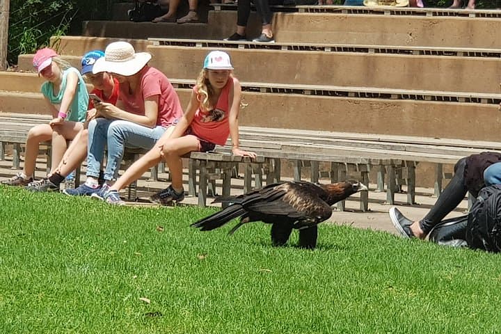 Healesville Sanctuary and Rayners Orchard Day Tour from Melbourne photo 1