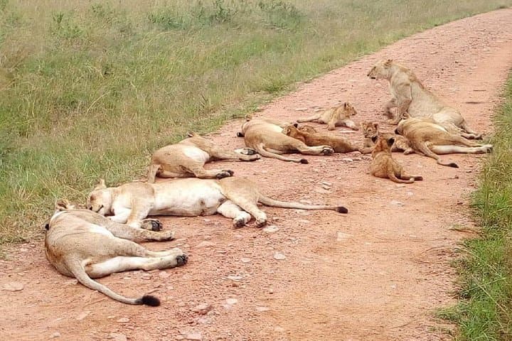 2-Day Private Safari to Lake Nakuru National Park from Nairobi photo 3