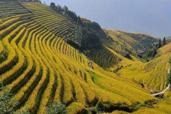 10-Day Guilin-to-Kunming Self-Guided Adventure — Li River, Terraces & Waterfalls photo 6