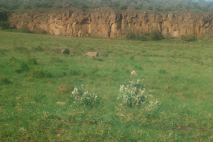 Lake Naivasha & Crescent Island 2-Day Safari from Nairobi — Boat, Walks, Biking & Hells Gate photo 2