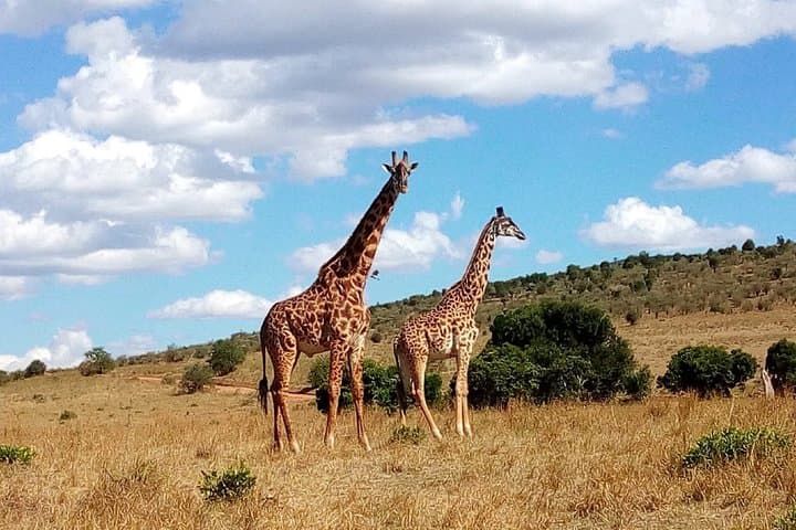 Lake Naivasha & Crescent Island 2-Day Safari from Nairobi — Boat, Walks, Biking & Hells Gate photo 4