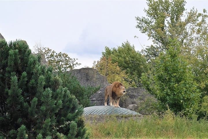 Oliwa Zoo Gdansk Private Transfer & Skip-the-Line Tickets photo 6