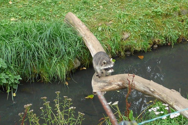 Oliwa Zoo Gdansk Private Transfer & Skip-the-Line Tickets photo 5