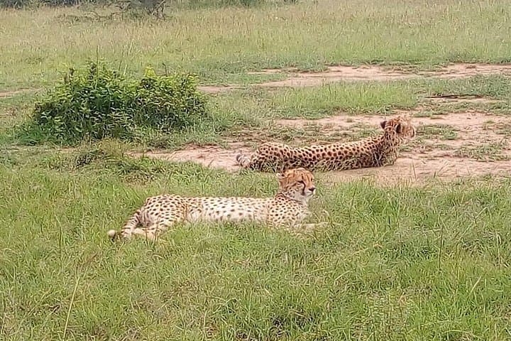 Two-Day Private Safari in Samburu National Park from Nairobi photo 4