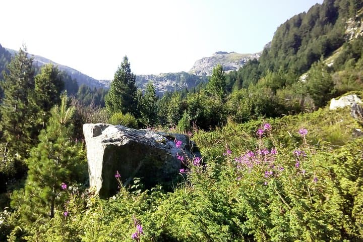 Private Trekking to Mount Musala: Rila Mountains Day Hike from Sofia photo 2