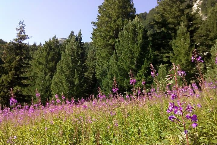 Private Trekking to Mount Musala: Rila Mountains Day Hike from Sofia photo 4