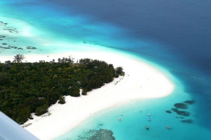 Mnemba Island Half-Day Dolphin and Snorkeling Tour — Matemwe Snorkel Guide