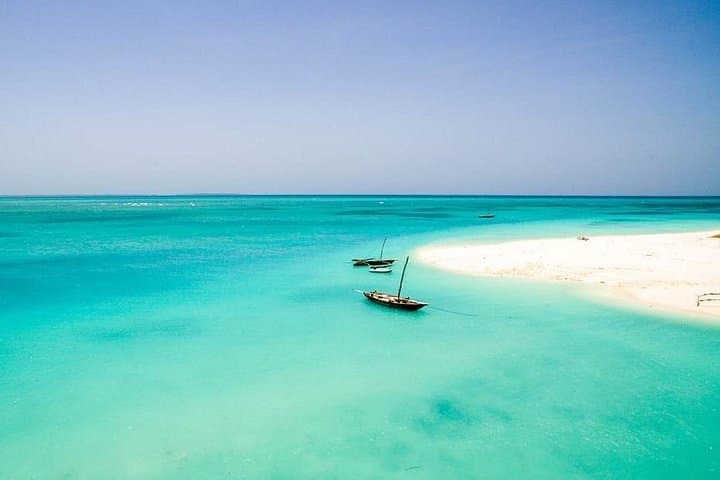 Mnemba Island Half-Day Dolphin and Snorkeling Tour — Matemwe Snorkel Guide photo 4