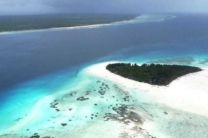 Mnemba Island Half-Day Dolphin and Snorkeling Tour — Matemwe Snorkel Guide photo 2
