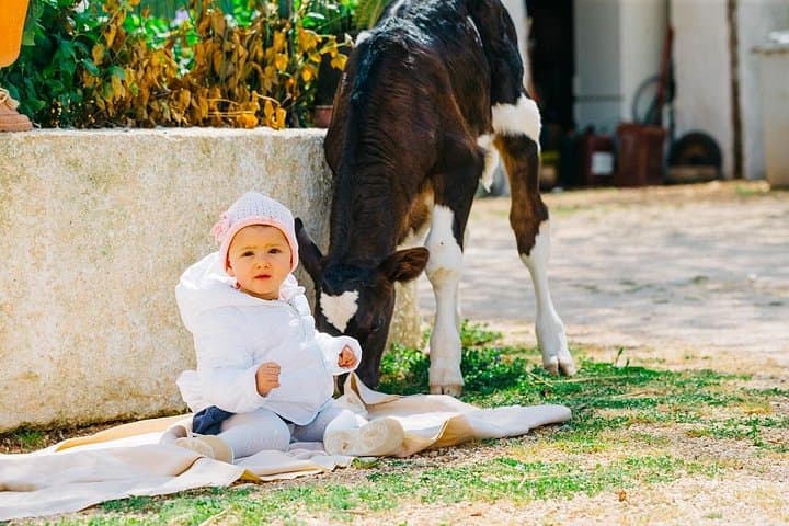 Hands-On Cheese Making in Valle d'Itria: Private Farm Tour & Tasting Near Ostuni