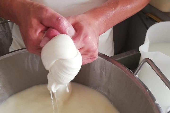 Hands-On Cheese Making in Valle d'Itria: Private Farm Tour & Tasting Near Ostuni photo 2