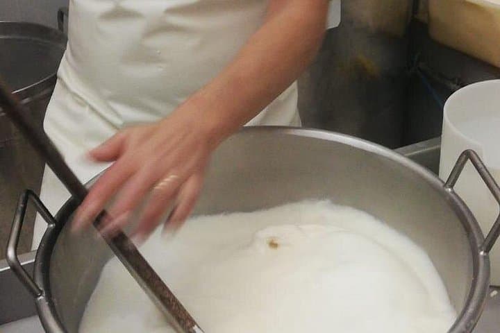 Hands-On Cheese Making in Valle d'Itria: Private Farm Tour & Tasting Near Ostuni photo 3
