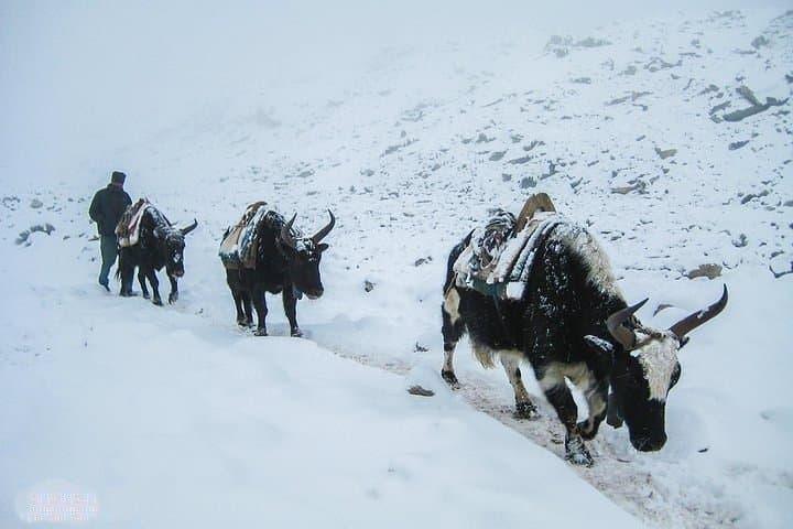 Everest Base Camp Trek: 14-Day Classic Trek from Kathmandu to Kala Patthar photo 1