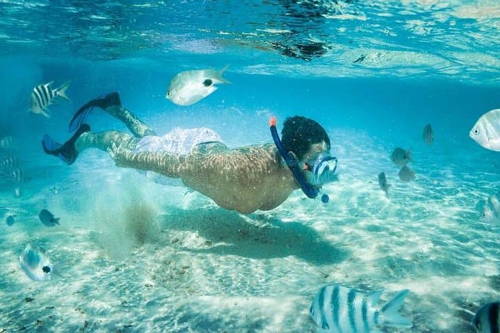 Blue Lagoon Bali Snorkeling and Goa Lawah Bat Cave Temple Tour photo 2