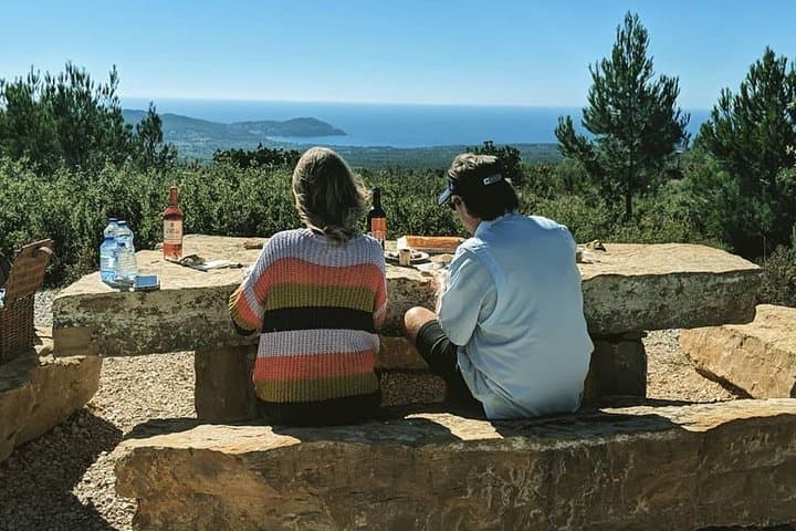 Private Full-Day French Riviera Shore Excursion from Cannes: Nice, Eze & Monaco photo 3