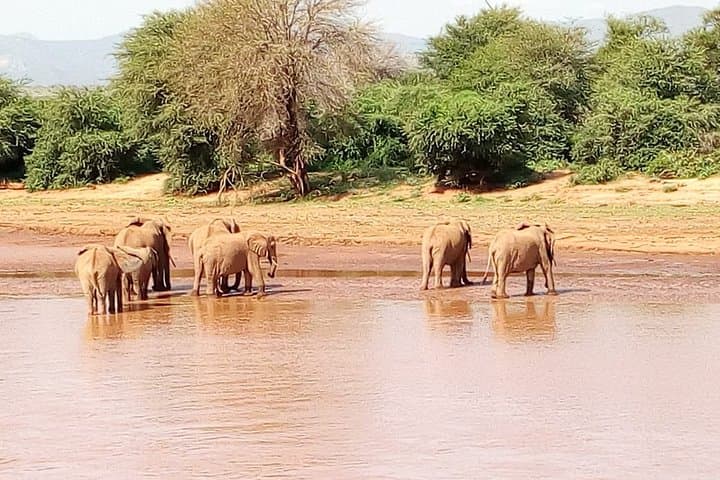 3-Day Private Meru National Park Safari from Nairobi: Wild Rhinos, Elsa’s Legacy & Quiet Game Drives photo 2