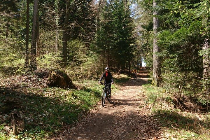 Electric Mountain Biking on Semnoz: Annecy eMTB Trails & Lake Views photo 4