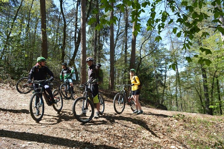 Electric Mountain Biking on Semnoz: Annecy eMTB Trails & Lake Views photo 5