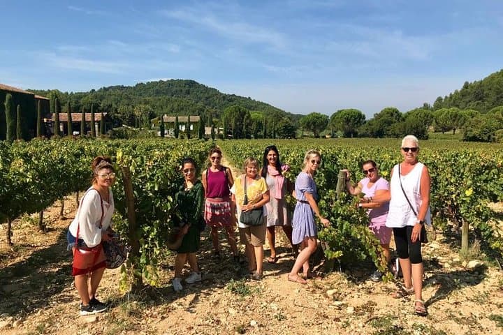 Full-Day Provence Highlights from Marseille: Calanques, Cassis & Cap Canaille photo 2