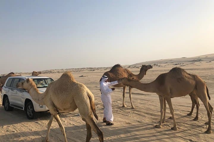 Half-Day Desert Safari from Doha — Dune Bashing & Inland Sea Sunset photo 3