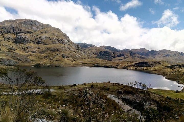 Half-Day Cajas National Park Tour from Cuenca — High-Andean Lakes & Wildlife photo 3