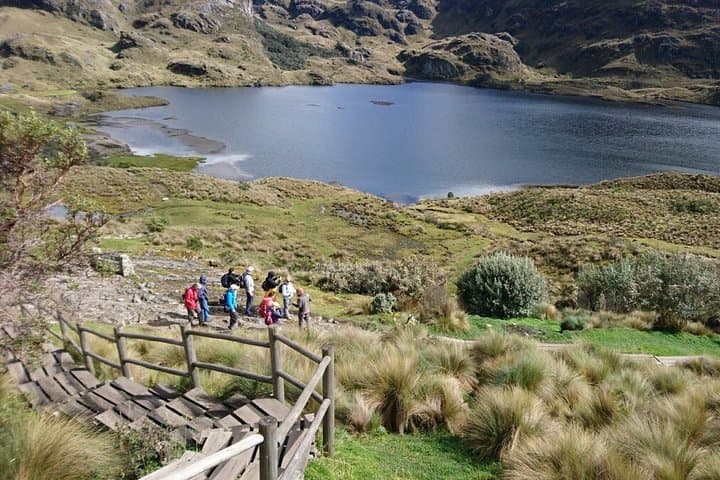 Half-Day Cajas National Park Tour from Cuenca — High-Andean Lakes & Wildlife photo 4