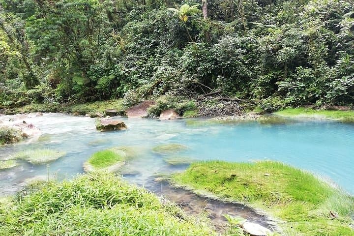 Explore North Costa Rica: 8-Day Family Adventure from Volcanoes to Beaches photo 6