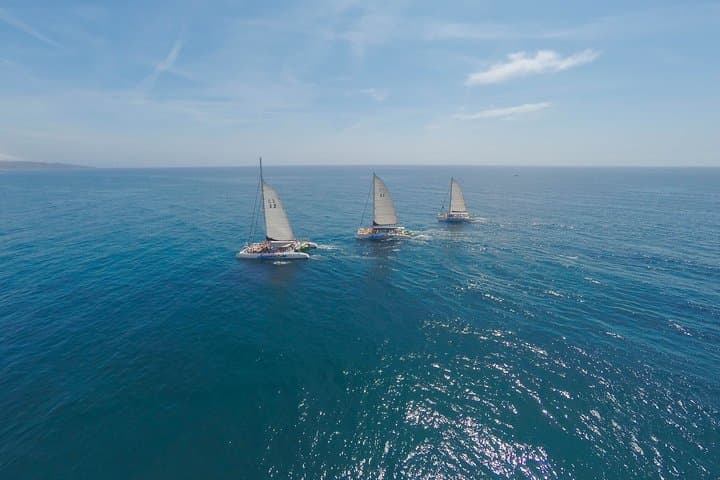 Barcelona Catamaran Party Cruise: 3-Hour Swim, Sun & Drinks photo 4