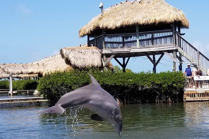 Exploring the Florida Keys: Scenic Private Shuttle from Fort Lauderdale to Key West photo 5
