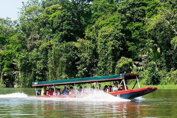 8-Day Costa Rica Family Adventure: Tortuguero, Arenal & Pacific Beaches photo 5