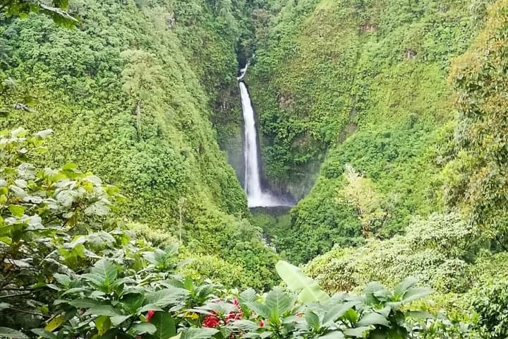 Arenal Volcano to La Fortuna Waterfall and Baldi Hot Springs — Day Trip from San José photo 5