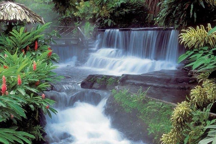 8-Day Costa Rica Family Adventure: Tortuguero, Arenal & Pacific Beaches photo 2