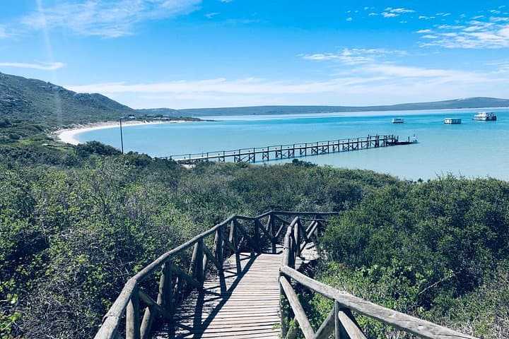 West Coast National Park Private Tour from Cape Town — Langebaan Lagoon Beaches & Birding
