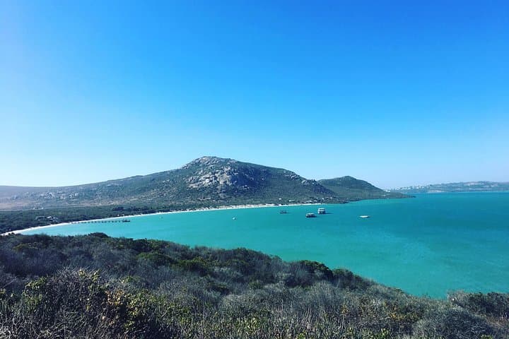 West Coast National Park Private Tour from Cape Town — Langebaan Lagoon Beaches & Birding photo 2