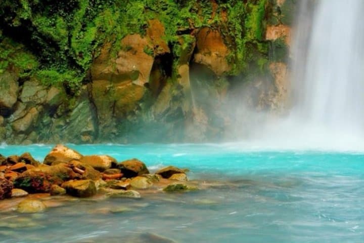 Rio Celeste Waterfall and Sloth Watching at Tenorio Volcano: Day Trip from San José photo 5