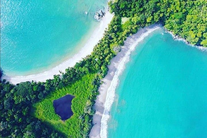 Manuel Antonio National Park Day Tour from San Jose: Wildlife, Trails & Beaches photo 1