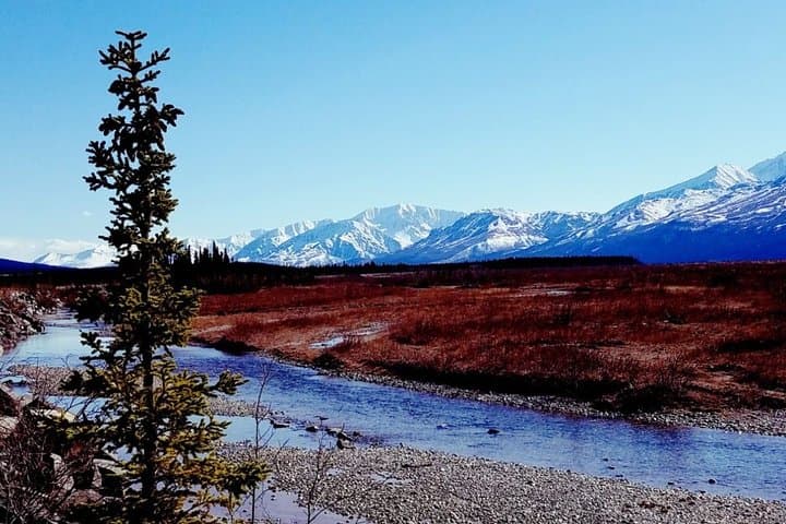 Seamless Shuttle from Fairbanks to Denali National Park: Your Essential Transfer Guide photo 3