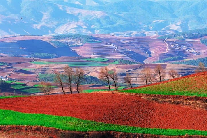 Sunset Over Dongchuan: Private Day Tour to Yunnan's Red Land from Kunming photo 2