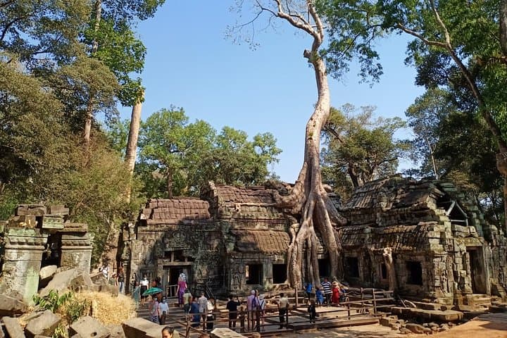 Half-Day Private Tour to Ta Prohm (Tomb Raider) & Banteay Kdei — Siem Reap Temple Walk