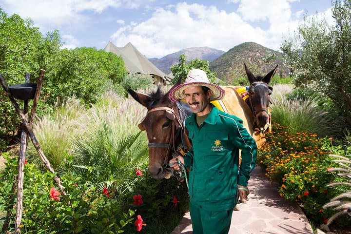 Atlas Mountains Day Trip from Marrakech: Anima Garden, Imlil & Berber Lunch photo 2
