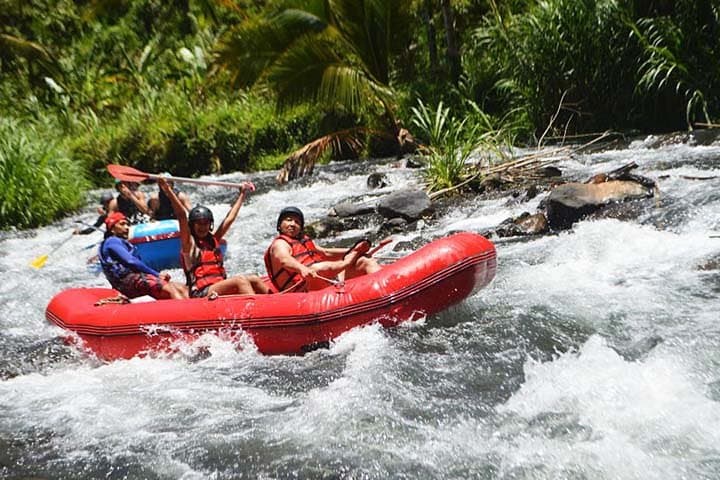 Telagawaja Rafting in Bali: 18km, 3-Hour Rainforest Whitewater Experience photo 5