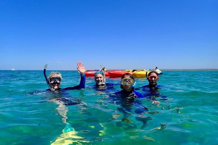 Ningaloo Turtle Kayak & Snorkel: Half-Day in Bundegi Sanctuary Zone photo 4