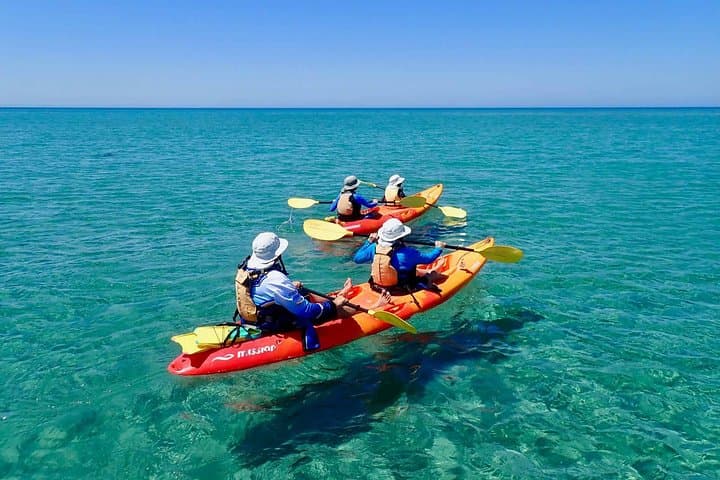Ningaloo Turtle Kayak & Snorkel: Half-Day in Bundegi Sanctuary Zone photo 3