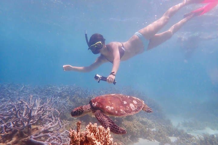 Ningaloo Turtle Kayak & Snorkel: Half-Day in Bundegi Sanctuary Zone photo 5